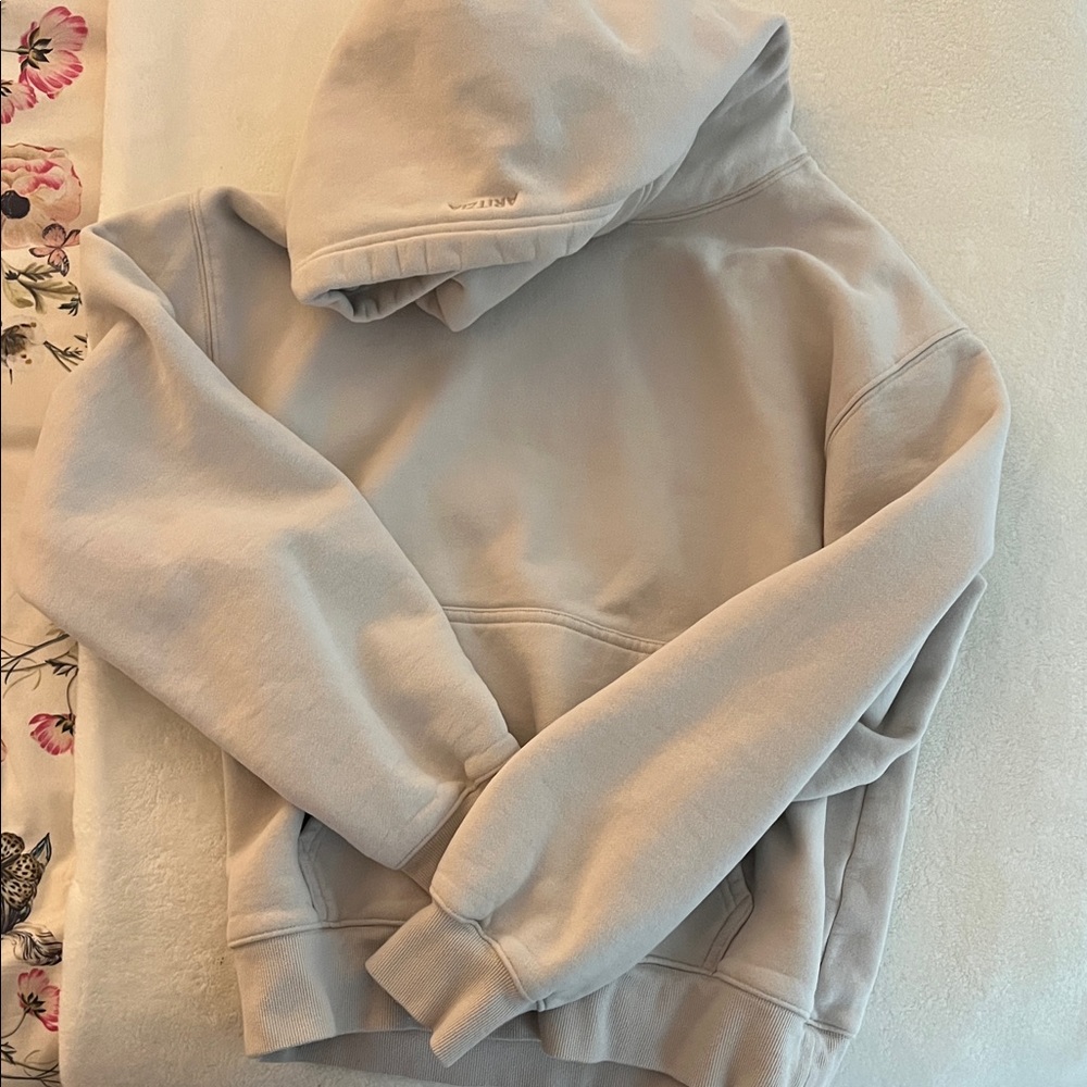 Aritzia Hoodie
